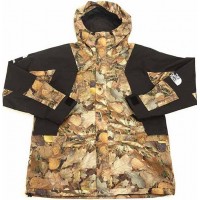 Supreme The North Face Mountain Light Jacket Leaves