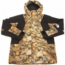 Supreme The North Face Mountain Light Jacket Leaves