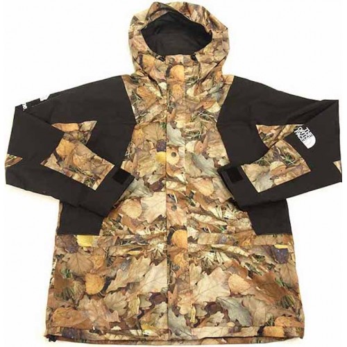 Supreme The North Face Mountain Light Jacket Leaves