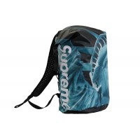 Supreme The North Face Statue of Liberty Waterproof Backpack Black