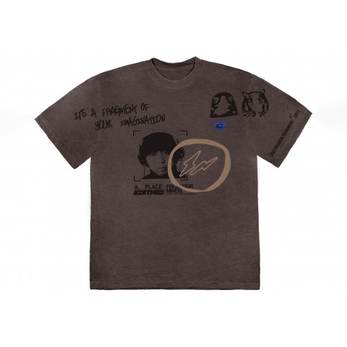 Оригинальный шмот Travis Scott Cactus Jack For Fragment Hiroshi Tee Brown Pepper