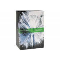 Bearbrick Benjamin Grant Overview Fuji 100% & 400% Set