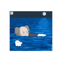 KAWS Brooklyn Museum TIDE Poster