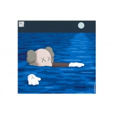 KAWS Brooklyn Museum TIDE Poster