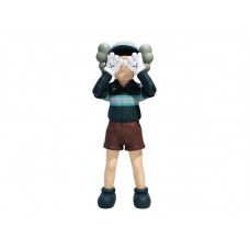 KAWS Chul-Su Vinyl Figure Coloured