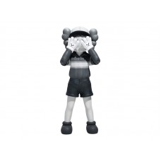 KAWS Chul-Su Vinyl Figure Monotone
