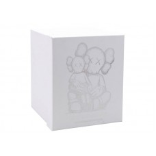 KAWS Holiday Changbai Mountain Vinyl Figure Brown