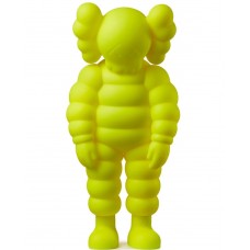KAWS What Party Figure Set