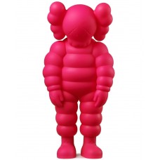 KAWS What Party Figure Set
