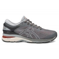 Женские ASICS Gel-Kayano 25 Carbon (W)