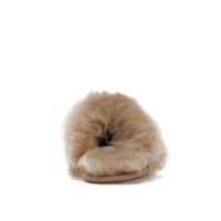 Женские тапки UGG Scuff Sis Slipper Sand (W)