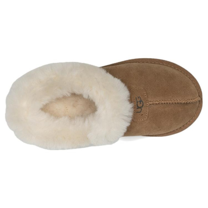UGG Wmns Tazzette Slipper Chestnut - женская сетка размеров UGG Wmns Tazzette Slipper Chestnut - женская сетка размеров