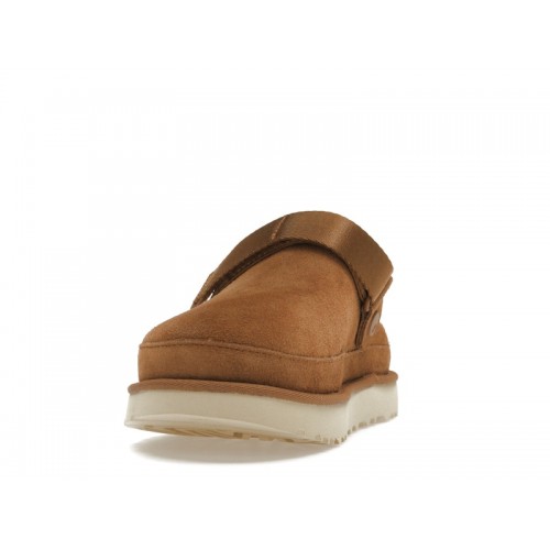 UGG Goldenstar Clog Chestnut - мужская сетка размеров