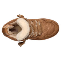 Женские UGG Highmel Chestnut (W)