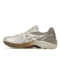 Кроссовки ASICS GT-2160 DIME Arctic Wolf