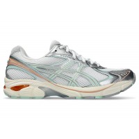 Кроссовки ASICS GT-2160 Miami Dolphins