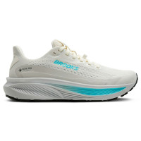 Женские Brooks Ghost 17 Gore-Tex Coconut Oyster Blue (W)
