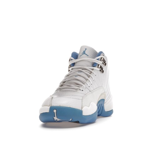 Кроссы Jordan 12 Retro Melo - мужская сетка размеров