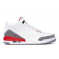 Кроссовки Jordan 3 Retro Hall of Fame (Sneaker Politics Special Release)