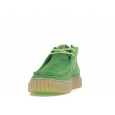 Clarks Torhill Explore Pokémon Bulbasaur