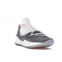 Кроссовки Under Armour Curry 5 Welcome Home