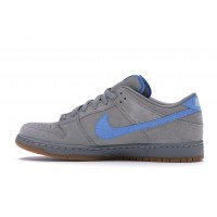 Кроссовки Nike SB Dunk Low Iron Low