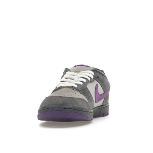 Кроссы Nike SB Dunk Low Purple Pigeon - мужская сетка размеров