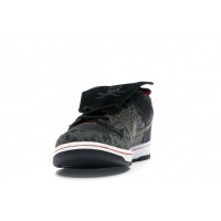 Кроссовки Nike SB Dunk Low SBTG