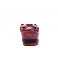 Nike SB Dunk Low Concepts Red Lobster