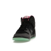 Кроссовки Nike SB Dunk High Premier Northern Lights