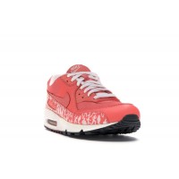 Nike Air Max 90 Powerwall Sunblush