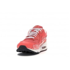 Nike Air Max 90 Powerwall Sunblush