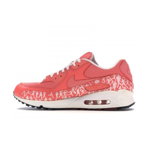 Nike Air Max 90 Powerwall Sunblush - мужская сетка размеров
