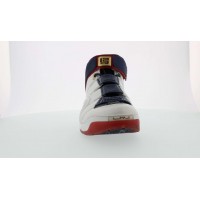 Кроссовки Nike LeBron 4 Playoffs