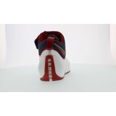 Кроссовки Nike LeBron 4 Playoffs