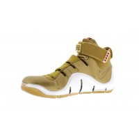 Кроссовки Nike LeBron 4 All-Star Game