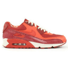 Nike Air Max 90 Steve Nash