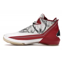 Кроссовки Jordan 22 OG Omega