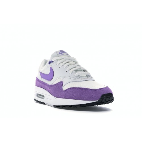 Кроссы Nike Air Max 1 Atomic Violet (W) - женская сетка размеров