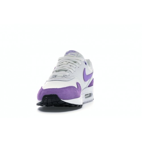 Кроссы Nike Air Max 1 Atomic Violet (W) - женская сетка размеров