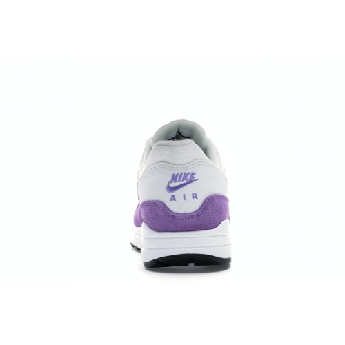 Кроссы Nike Air Max 1 Atomic Violet (W) - женская сетка размеров