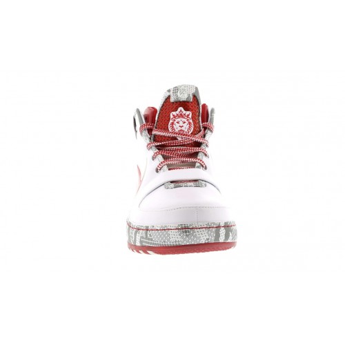 Кроссы Nike LeBron 6 Ohio State - мужская сетка размеров