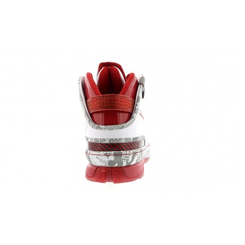 Кроссы Nike LeBron 6 Ohio State - мужская сетка размеров