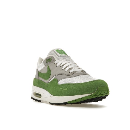 Кроссы Nike Air Max 1 Patta 5th Anniversary Chlorophyll - мужская сетка размеров