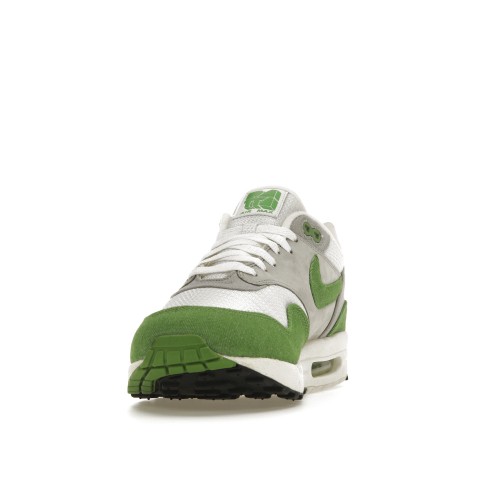 Кроссы Nike Air Max 1 Patta 5th Anniversary Chlorophyll - мужская сетка размеров