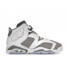 Подростковые кроссовки Jordan 6 Retro Cool Grey (GS)