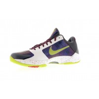 Кроссовки Nike Kobe 5 Joker (Chaos)