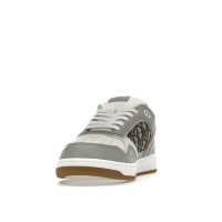 Dior B27 Low Gray White