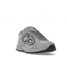 Dior B30 Gray