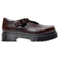 Женские Dr. Martens Rejena Mary Jane Explorer WP Spiced Brown (W)
